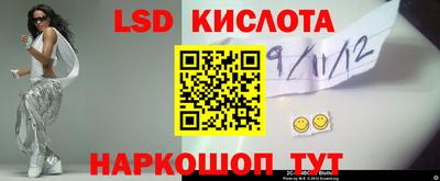 винт Гусев