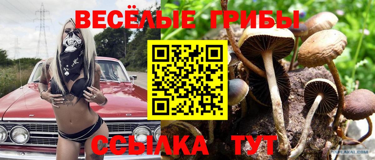 Псилоцибиновые грибы Magic Shrooms  Вход с VPN  купить закладку  Воскресенск 