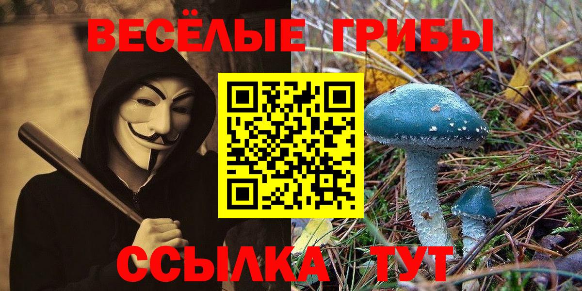 Псилоцибиновые грибы GOLDEN TEACHER Воскресенск